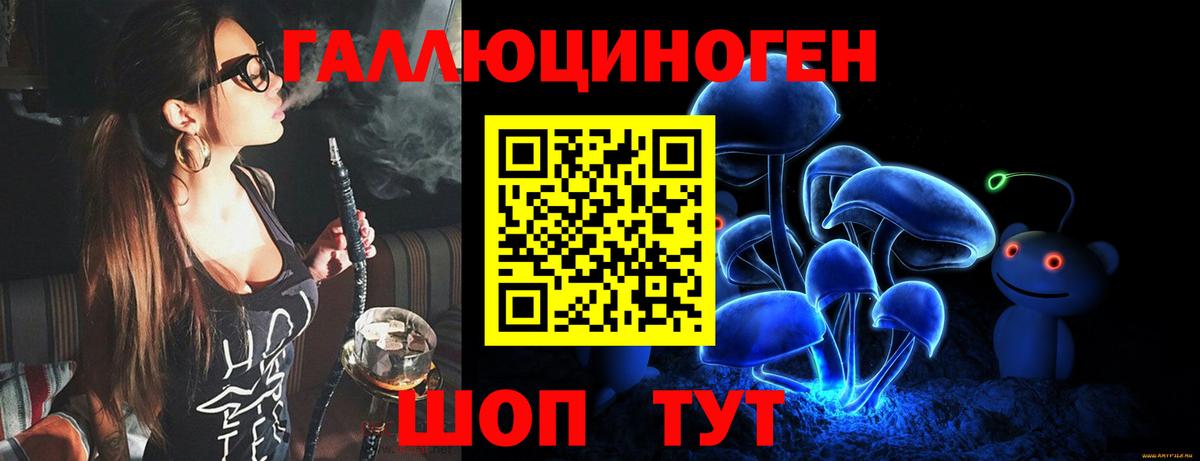 Новосибирск  Псилоцибиновые грибы Psilocybine cubensis  наркотики  Вход с VPN 